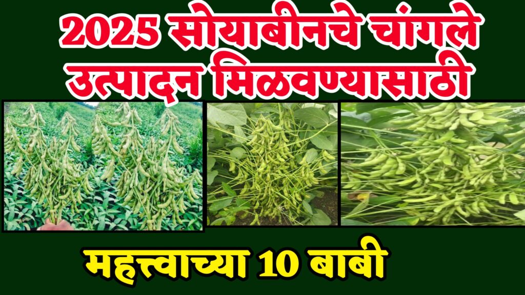 soyabin lagwad 2025